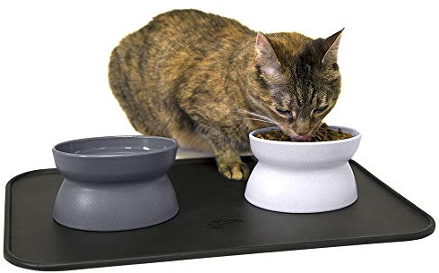Kitty City Gamelle surélevée pour Chat - sans Stress - Mangeoire et Abreuvoir et gamelles à Alimentation Lente