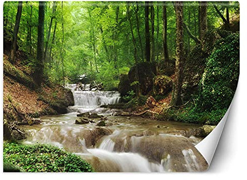Feeby Papier Peint Intisse Arbres Nature Rivière 400x280 cm vert Déco Murale Trompe L' Oeil Tapisserie Moderne Salon Chambrea' Coucherr Salle De Bain Cuisine Ruisseau Cascade Forêt