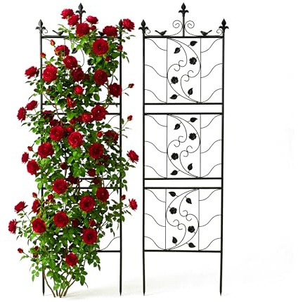 Relaxdays Rejillas para Enredaderas, Soporte metálico 172x50 cm, para Plantas trepadoras y Rosales, Negro