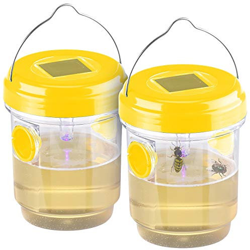 Exbuster Solar Insektenvernichter: 2er-Set giftfreie Solar-LED-Insektenfalle z. Aufhängen oder Hinstellen (Insekten-Falle, Insektenfalle umweltfreundlich, Essigfliege)