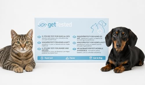 getTested Magengesundheitstest (H.pylori) für Hunde/Katzen