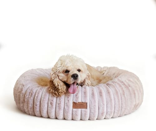 FUKUMARU Hundebett，Katzenbett für den Innenbereich, orthopädisches Hundebett, waschbare Abdeckung, modernes Design mit Farbverlauf. 64 x 64 x 18 cm, Rosa
