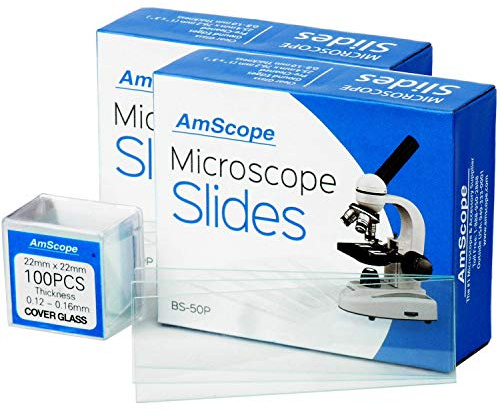 Microscope Slides, 100 Blank Slides with 100 Cover Glass