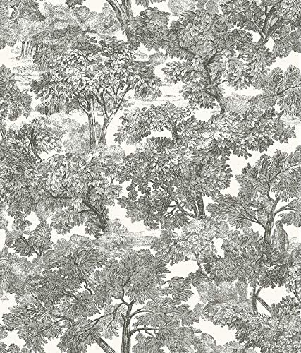 Chesapeake Black Spinney Toile Wallpaper, Prepasted, Washable, Strippable, 20.5 in x 33 ft