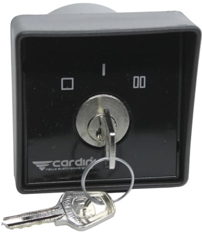 Dieffematic Selettore a Chiave da Incasso per Automazione Cancelli e Porte - Sistema Antiscasso, IP44