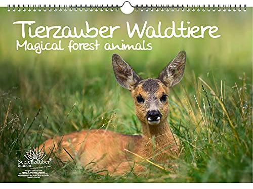 Tierzauber Waldtiere DIN A3 Kalender - Immerwährender Kalender Tiere im Wald - Seelenzauber
