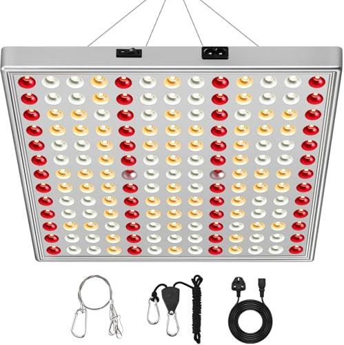 DragonLight CW2000 LED Grow Lights Full Spectrum Grow Lamp for Greenhouse and Indoor Plant Veg and Flower Growing Coverage 2 x 2Ft [Silver]