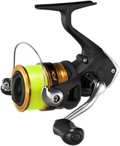 SHIMANO FX FC C3000 + 0,285mm Mono, Angelrolle