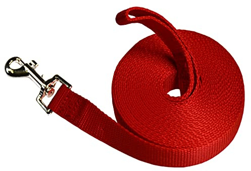 Laisse pour Chien 5m, Longe de Dressage, Longue Laisse en Nylon pour Petites à Grandes Tailles d'animaux/Rouge