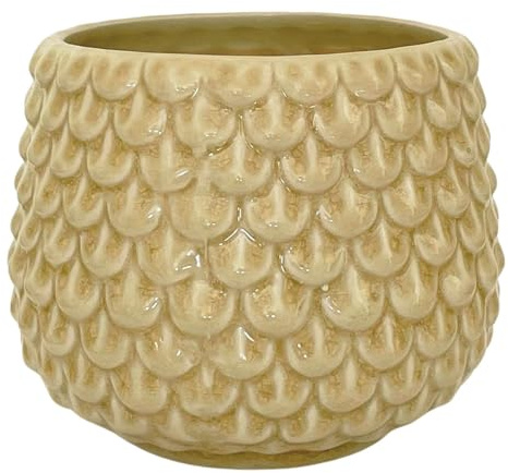 Nordring Vaso Pino - per Fiori da Interno e Piante da Interno, Piante grasse, Cactus, Orchidee M (13,5 cm ø), Avorio-Giallo, Ceramica Gres