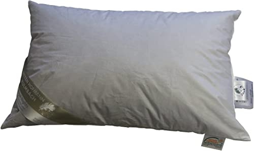 Betten Hofmann Kopfkissen 40/60 cm 250 g reinen Daunen Daunenkissen prall