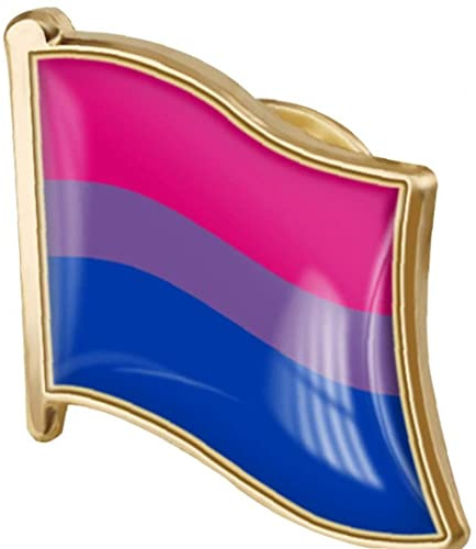 Danlai LGBT Rainbow Insignia Broche Pin Gay Bisexual Orgullo Bandera Broche Insignias De Solapa