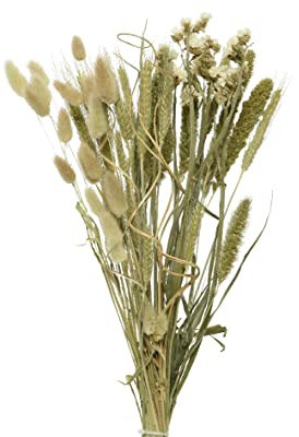 Decoris Trockenblumen Strauß 45cm x 1 Bund Blumen Gräser Mix Trockenblumenstrauß getrocknete Blumen