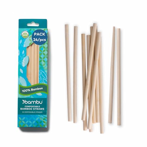 Bambu Pack of 24 - Disposable Bamboo Straws, Biodegradable Eco Friendly Products, Single Use Bamboo Straws, Wilt Free and Strong Compostable