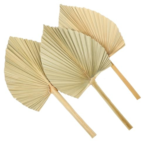 iplusmile 3 Piezas Decoración de Palma Secas Abanico Natural Arte Pared para Fiesta Boda Ambiente Festivo