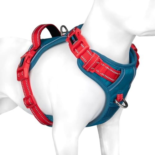 PHOEPET Hundegeschirr Mittelgroße Hunde, Anti Zug Verstellbar mit Griff, M | Petrolfarbene, No Pull & Vollständig Verstellbar，2 D-Ringe，Schnellverschluss-Schnallen，Atmungsaktive Polsterung,Reflektierend