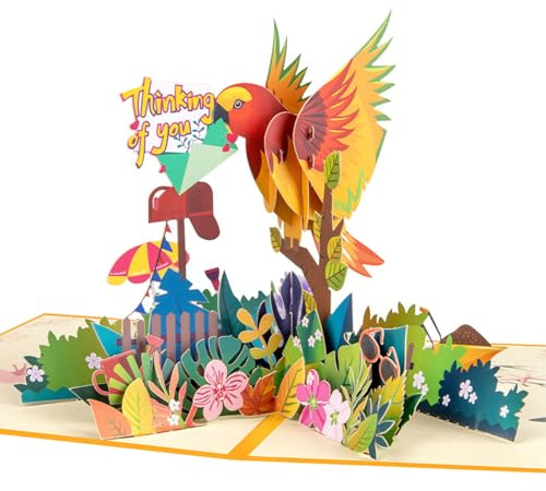 scicent Dankeskarten Glückwunschkarte Geburtstag Pop Up Geburtstagskarten 3D Pop Up Karte Geburtstag mit Umschlag für Kinder Mama Frau Mann Papa Kollegen Happy Birthday Karte 31920