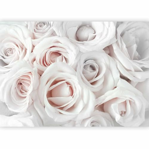 murando Fotomurales Flores Rosa 350x256 cm XXL Papel pintado tejido no tejido Decoración de Pared decorativos Murales moderna Diseno Fotográfico rosa beige blanco b-B-0406-a-c