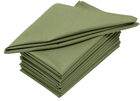 Cloth Napkins Set of 12 (18x18 Inches or 46x46 CM) 100% Cotton Everyday Use Premium Quality Cloth Napkins Ultra Soft Perfect Dinner Napkins/Table Napkins - (Green) - The Home Talk