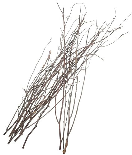 MAGICLULU 12 Pièces Décoration De Branche De Bouleau Remplissage De Vase en Saule Séché Tiges De Fleurs Séchées Brindilles Artificielles Branches Darbres Séchées Noël Articles De Fête Bois
