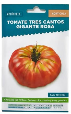 Verdecora Semillas de Tomate Gigante Rosa | Cultivo de Huerto en Casa | Frutos de Gran Tamaño y Sabor Dulce | Ideal para Huertos Urbanos y Jardines