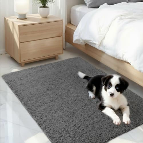 DTXDTech Rugs Luxury Shaggy 80x50cm for Living Room & Bedroom-Large - Super Soft Anti-Slip Carpet, Fluffy Area Rug with Thick Pile, Small Rugs Living Room Non Shedding(Dark Grey)