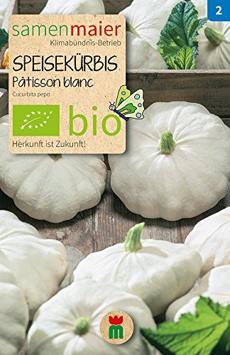 Samen Maier 899 Speisekürbis Patisson blanc (Bio-Kürbissamen)