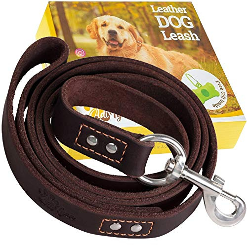 ADITYNA Leather Dog Leash 6 ft x 3/4 inch - Soft, Strong, Heavy Duty for Large & Medium Breeds - Dog Lead for Walking, Training, Hiking and Running (Brown)
