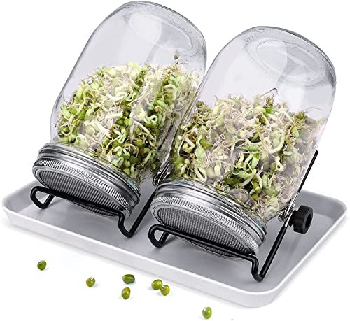 Sprosseneinmachgläser, Samenkeim-Set, 2 Sprossen, Einmachgläser mit Edelstahl-Siebdeckeln, Ständer, Keimgläser-Set für Sprossen, Brokkolibohnen
