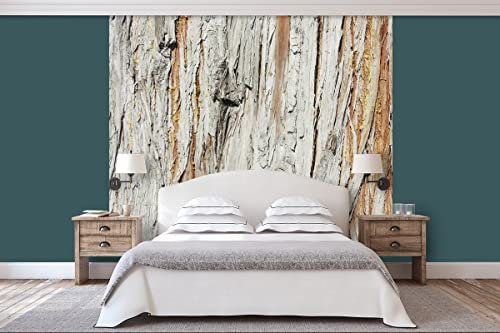 Glücksvilla - Fototapete, selbstklebend (240 x 300 cm (BxH) - div. Maße - Vlies-Tapete XXL Wand-Deko - Holz-Details 3 - Frankreich Deko Natur Baum Holzwand Holz-Optik Fotografie
