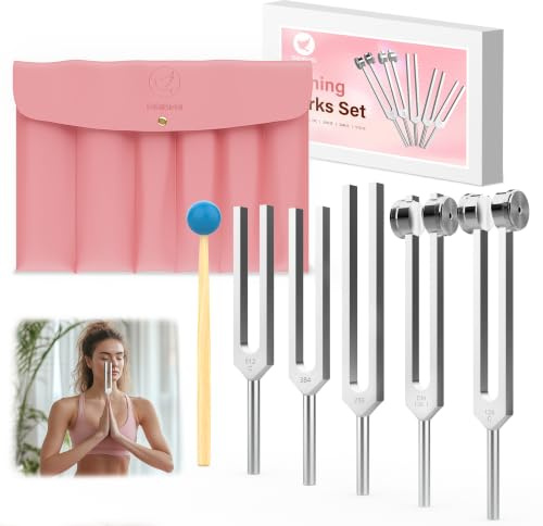 DiDiBirDi Stimmgabeln für Heilung, 5 Stück, 128 Hz, 136,1 Hz, 256 Hz, 384 Hz, 512 H | Ausgestattet mit PU-Ledertasche und Gummihammer, geeignet für Yoga, Meditation, Entspannung