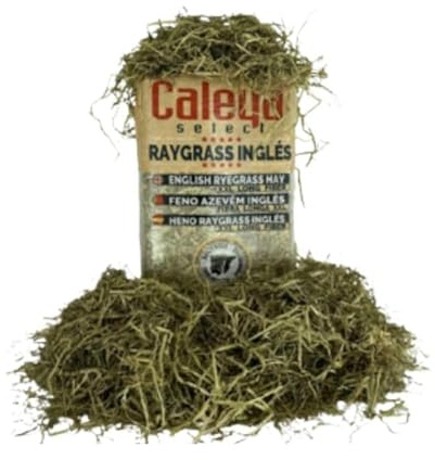 Heno para Caballos CALEYA Select Hay Raygrass Ingles de 14kg