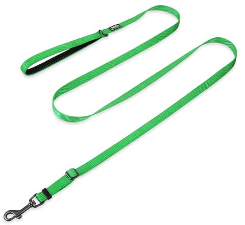 Hyhug 1,8 m Verstellbare Nylon Hundeleine mit weichem, gepolstertem Griff - Haltbare Leine mit einfachem Bolzkupplungsverschluss, ideal für große, mittlere und kleine Hunde (Klein, Limonengrün)