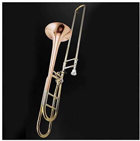 KESHUO Ventilposaune B-Flach-Tenor-Posaune Messing-Leuchtstoffbronze-Glocken-Mund (Malt) (Color : Phosphor Bronze)