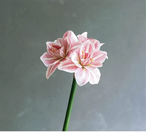 ROLTIN Künstliche Blumen, Frühlingsdekorationen, künstliche Amaryllis-Blume, Heim-Tisch-Hochzeitsdekoration, künstliche PU-Blumen