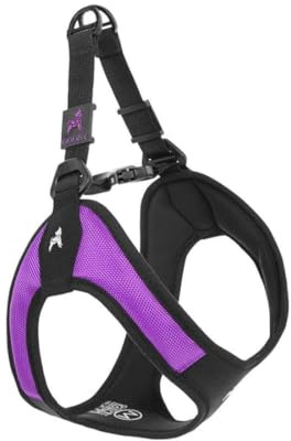Gooby Escape Free Easy Fit Harness - Purple, Medium - No Pull Step-in Patented Small Dog Harness with Quick Release Buckle - Perfect On The Go No Pull Harness for Small Dogs or Medium Dog Harness