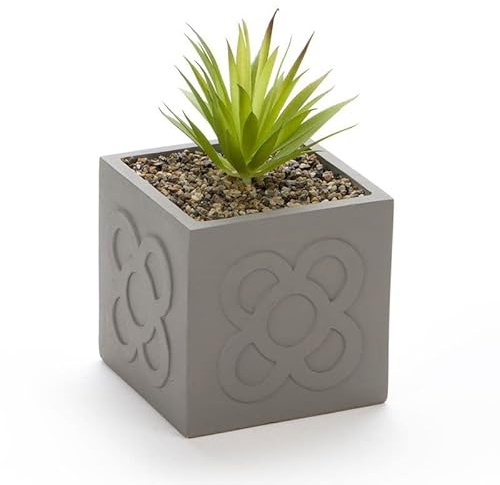 ROCKING GIFTS Cactus en Maceta PANOT 13 cm