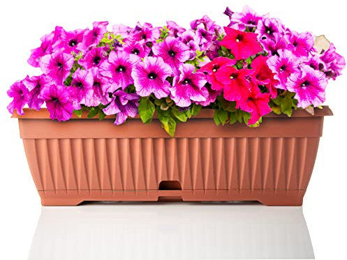 BigDean Blumenkasten mit abnehmbarem Untersetzer - Terracotta 50 cm lang aus bruchsicherem Kunststoff - Balkonkasten Pflanzkasten mit Wasserspeicher für Innen- & Außenbereich geeignet - Made in Europe