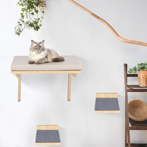 XDAILUYYDS Katzenbett Wandmontage 40x30x30cm Grau | Schwebendes Holz Katzenbett | inkl. Kissen & 2 Kratzbretter | stabil und platzsparend | für Mehrkatzenhaushalte