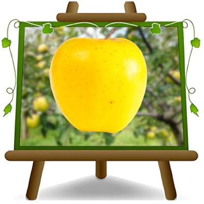 EURO PLANTS VIVAI Melo Golden B - Pianta da Frutto Antico su Vaso da 20 - Max 170 cm - 2 Anni