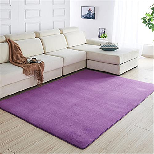 Alfombra de Terciopelo Coral Grueso de Color sólido Calidad Morado Oscuro Clásico Suave Lavable Antideslizante Grande Rugs Minimalista Moderna Sala Estar Dormitorio Tatami Gateando Estera -120×140cm