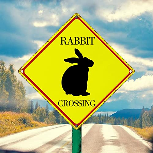 Hase Xing Metallschild Wandkunst Warnung Verkehrsschild Vorsicht Hase Retro Vintage Blechschild Lustige Hase Kreuzung Metall Blechschild 30,5 x 30,5 cm Tierliebhaber Geschenk Schild für Garten Straße