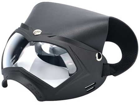 PLCPDM Windschutz Hunde Sonnenbrille Geeignet Für Große Hunde Haustiergläser Für Snow Beach Outdoor Snow Sports Auge Tragen Stilvolle Hundebrillen Mit Riemen