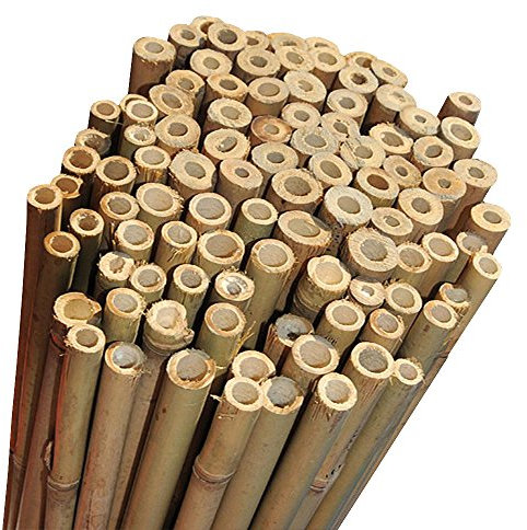 Elixir Gardens Strong Heavy Duty Professional Bamboo Plant Support Garden Canes | All lengths in stock 2, 3, 4, 5, 6, 7 & 8ft | Choose from a range of pack sizes from 10 to 250 | 4ft x 10