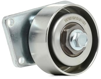 RIDEX 310T0314 Poulie tendeur de courroie d'accessoire Compatible avec PEUGEOT 206 3/5 portes 2A/C