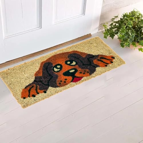parpyon® Zerbino Ingresso casa Divertente Vulcano Piccolo cm 53x23 Tappeto Antiscivolo entrata scalino per Interno da Esterno tappeti Moderni in Cocco (CM 23X53, Disegno-4)