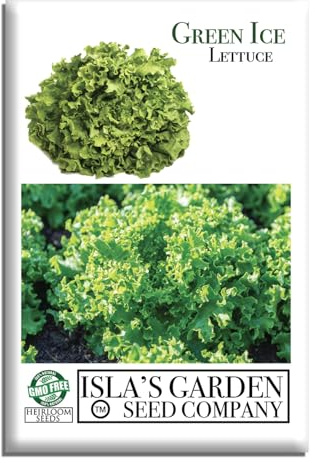 Green Ice Leaf Lettuce Seeds (Lactuca Sativa) – 1000+ Non-GMO Heirloom Seeds by Isla’s Garden Seeds, Crisp Looseleaf Variety, Sweet Flavor, Perfect for Salads, Sandwiches, & Burgers, Garden Gift Idea