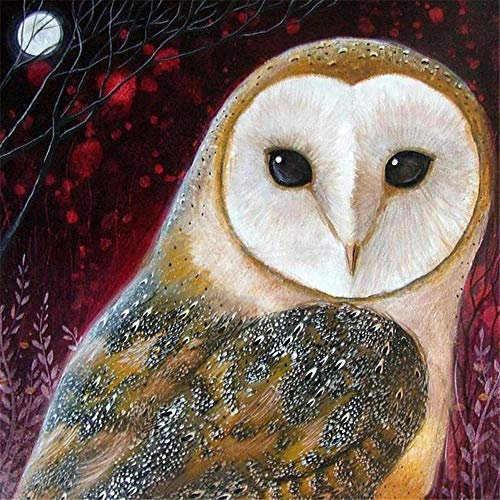 Yingxin34 Puzzles 5000 Teile, Ballon Landschaft Rahmenpuzzle, Puzzle Spiel Geschenk, DIY Puzzle Würfel Eule unter dem Mond Impossible Puzzle, Geschenk Geschicklichkeitsspiel für die Ganze Familie