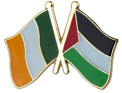 Ireland & Palestine Friendship National Flags Lapel Pin Badge – Enamel Metal Brooch for Jacket, Backpack or Hat – Symbol of International Solidarity – 2.4 x 1.9cm