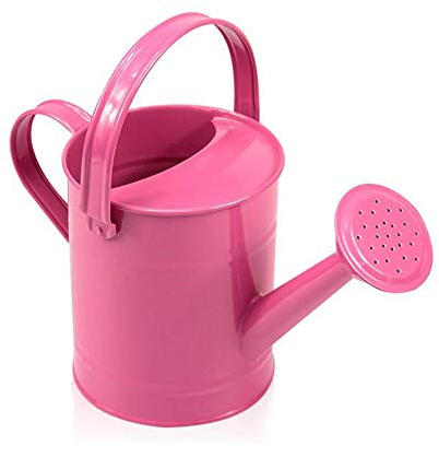 Namzi Arrosoir en métal de 1,5 l pour enfants, seau d'arrosage en fer pour plantes d'intérieur et d'extérieur, rose
